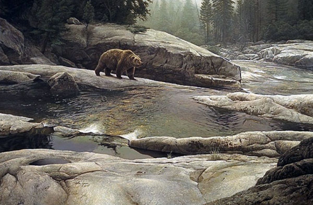 Uzumati - Great Bear of Yosemite